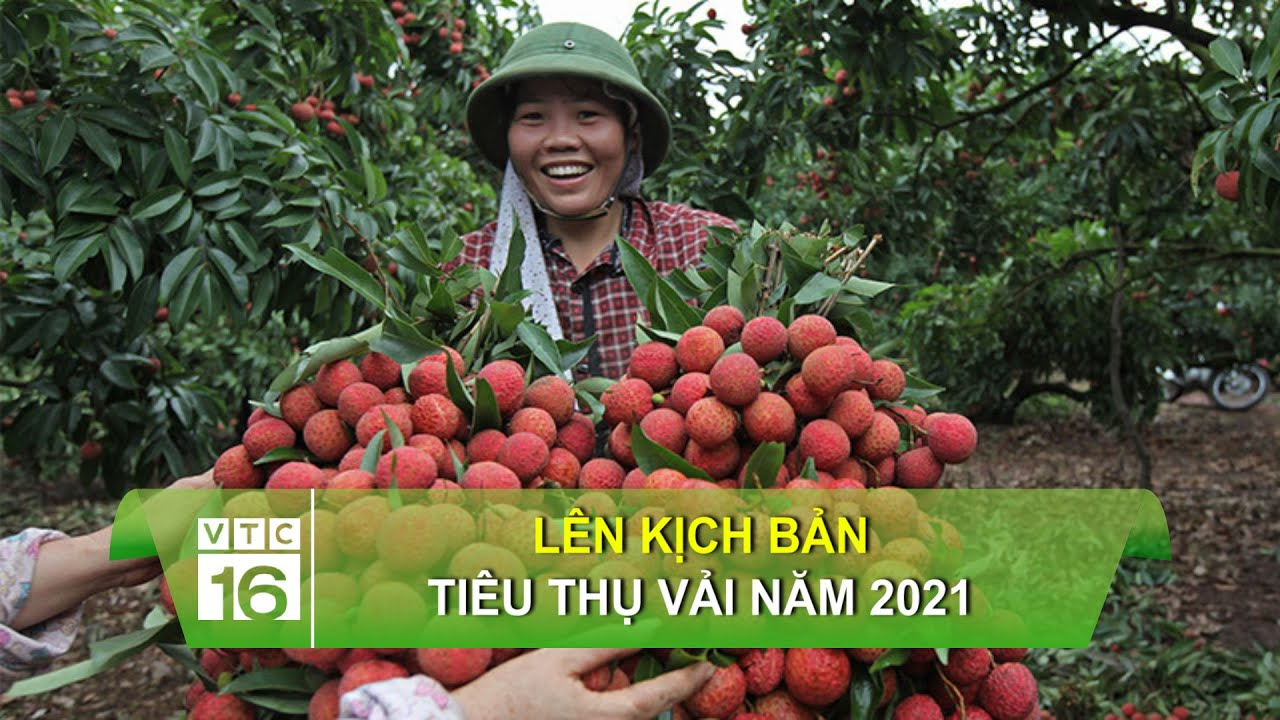 'Con sắp thi lớp 10, cả nhà tôi như bị câm'