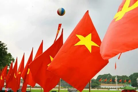 Những loại rau trồng một lần ăn quanh năm
